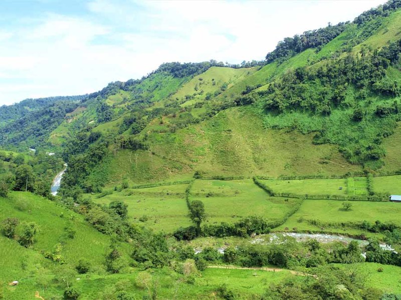 0 bed Lot/Land For Sale in San Isidro-Perez Zeledon, 